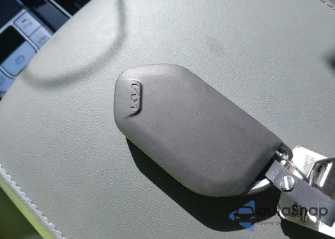 2024 Kia Telluride Sx X-Pro from USA, damaged, VIN 5XYP5DGC5RG496184